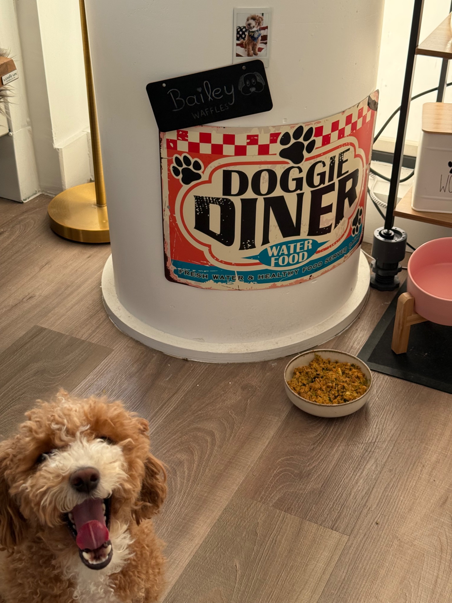 Bailey yawning happily next to a doggie diner food bowl