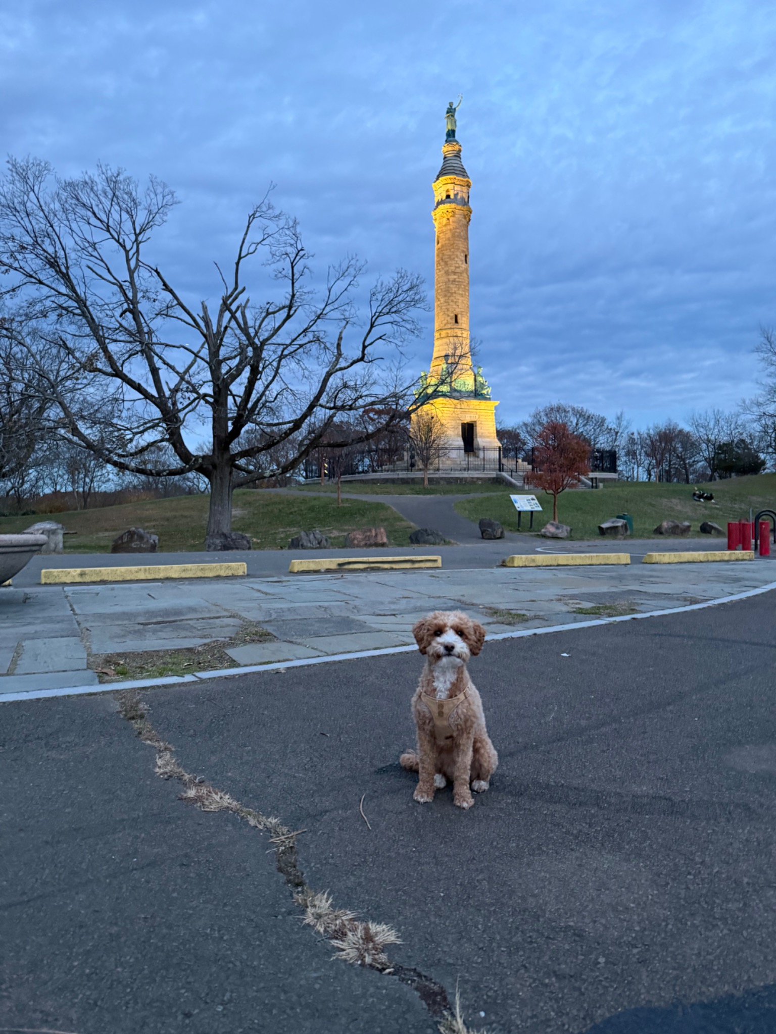 Bailey sitting in front of a monument at dusk